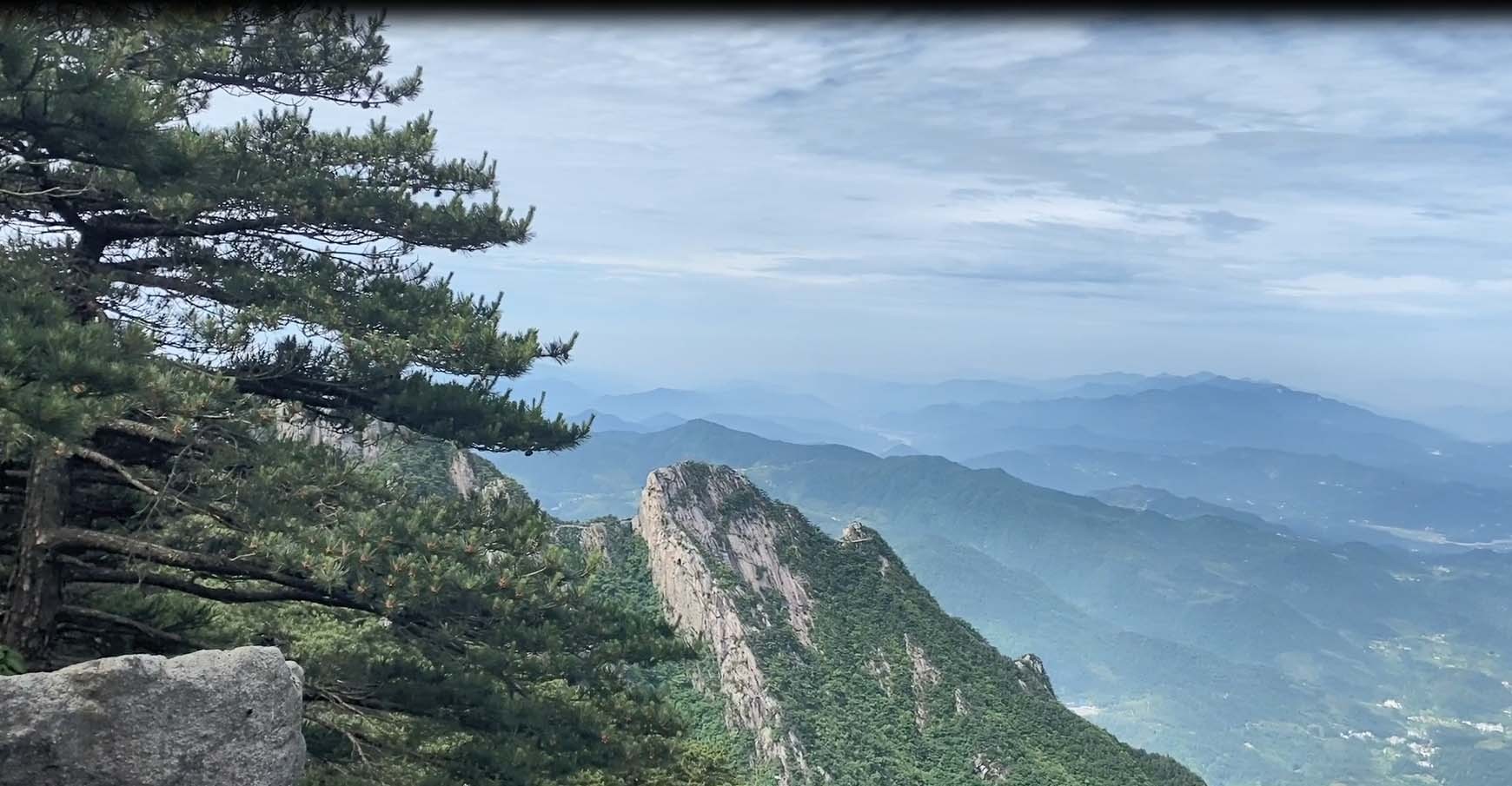 集體旅游